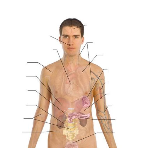 علامات وجود الطفيليات في مختلف الأعضاء